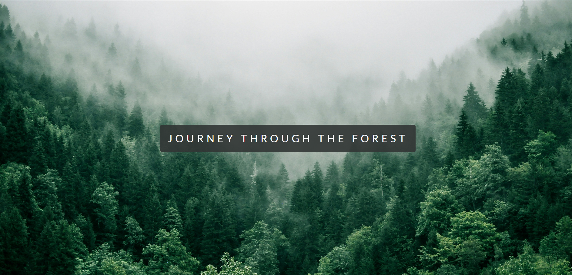 Forest Parallax Website